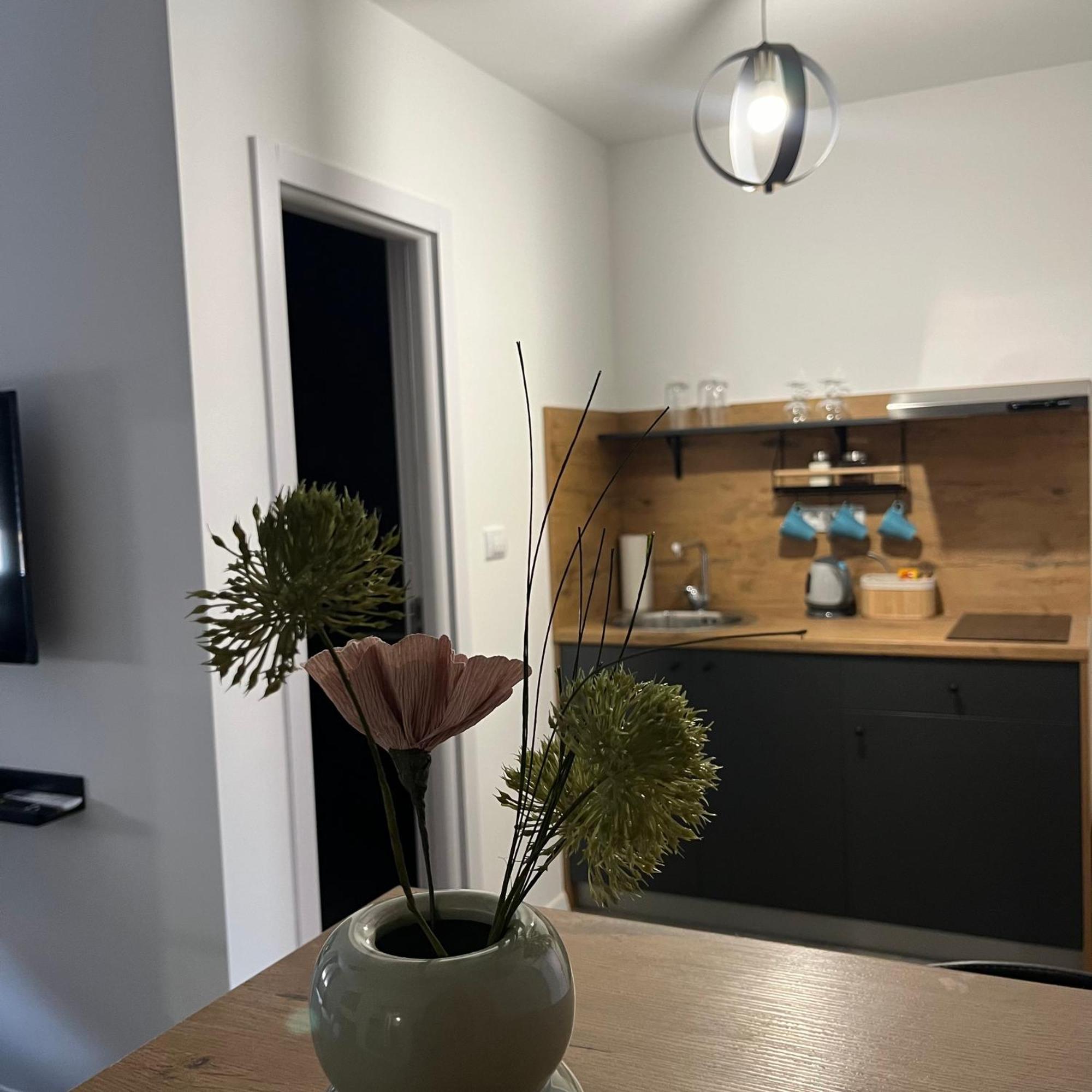 Beoair Apartments Surcin Luaran gambar